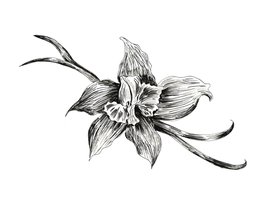 高端醬料包裝設(shè)計參考(圖3)