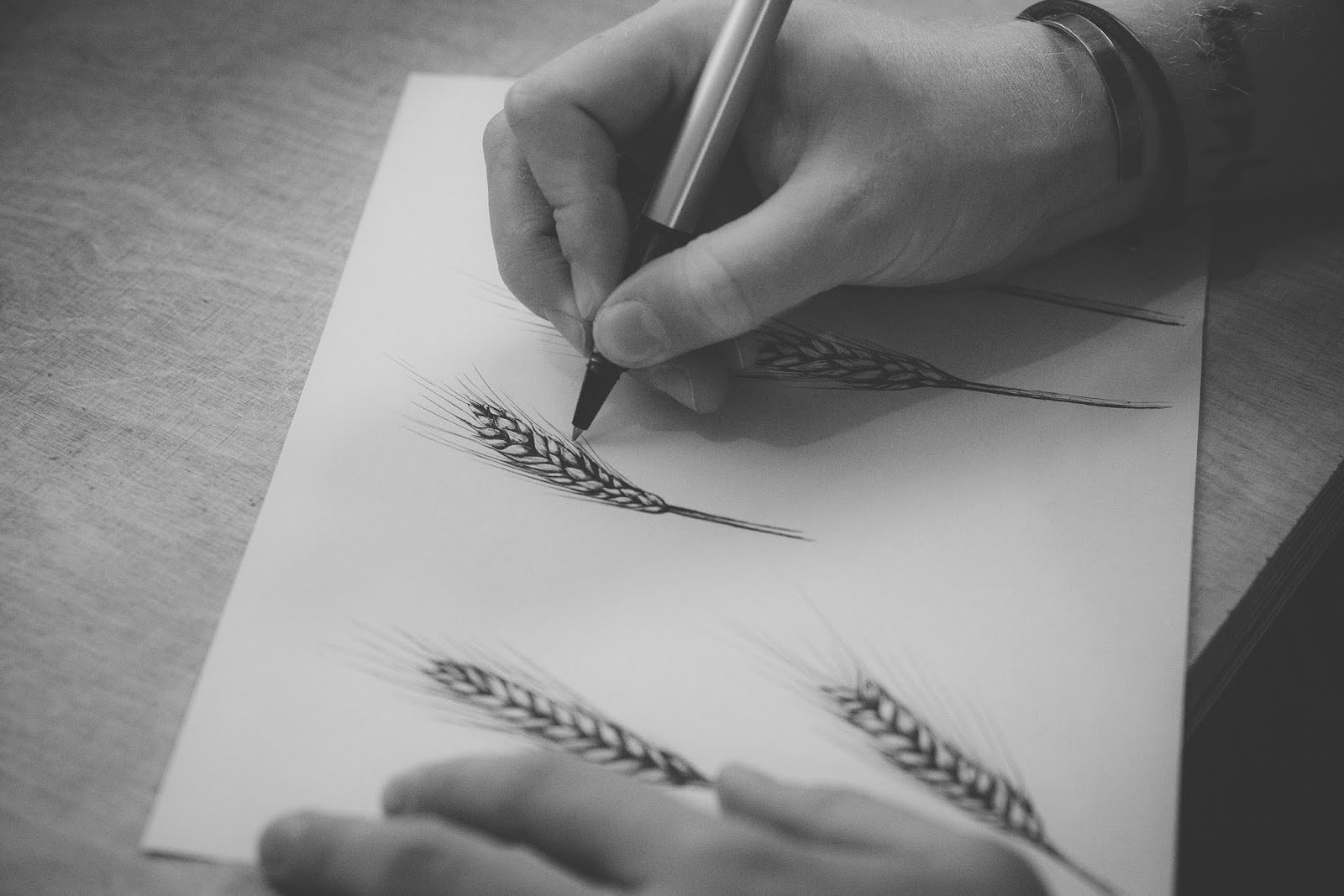 年輕化白酒包裝設(shè)計(圖6) 年輕化白酒包裝設(shè)計(圖6)