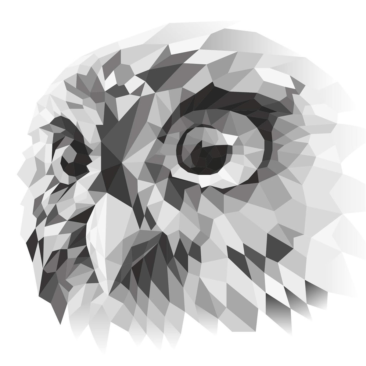 法國(guó)葡萄酒標(biāo)簽設(shè)計(jì)(圖4)