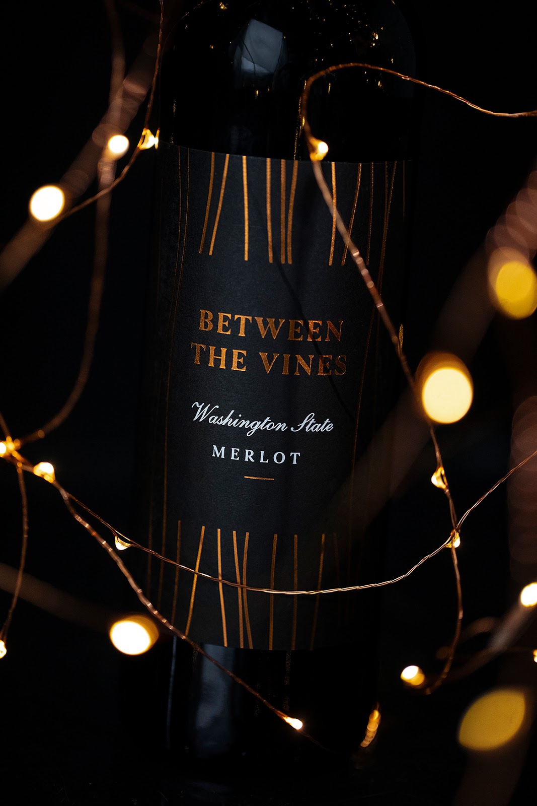 紅酒包裝設(shè)計(jì)方案(圖1)