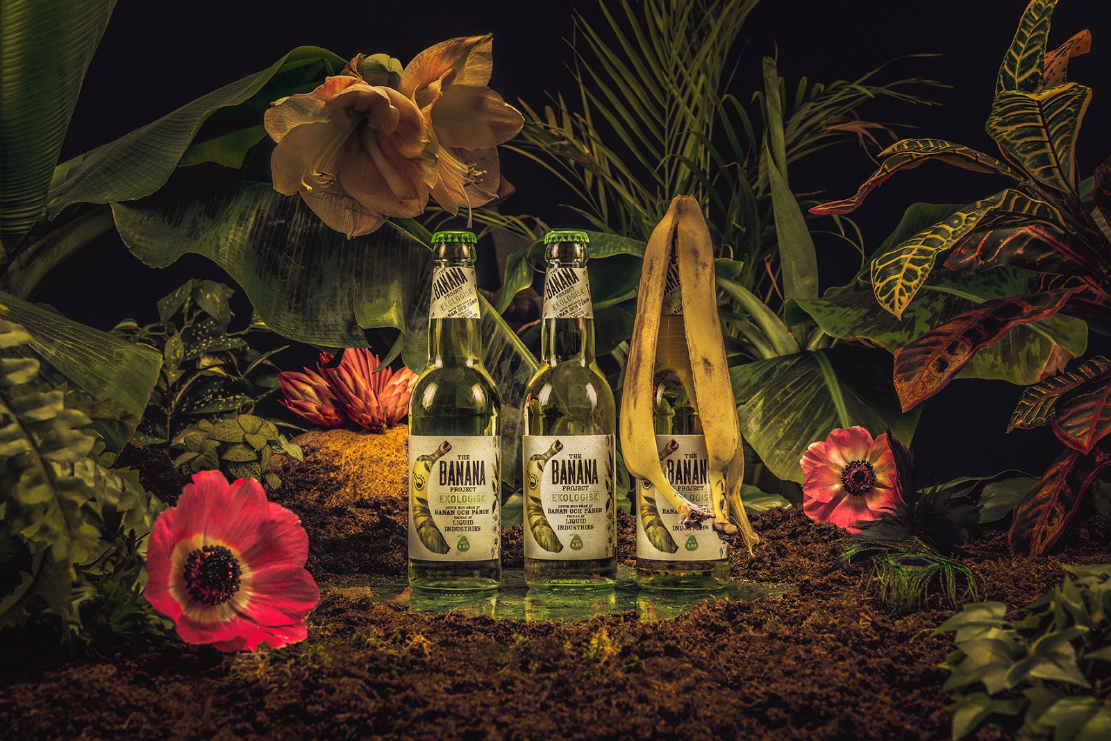 杭州香蕉果酒包裝設(shè)計欣賞參考(圖1)