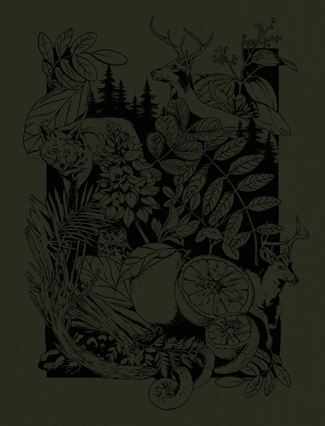 寧波酒包裝設(shè)計(圖4) 寧波酒包裝設(shè)計(圖4)