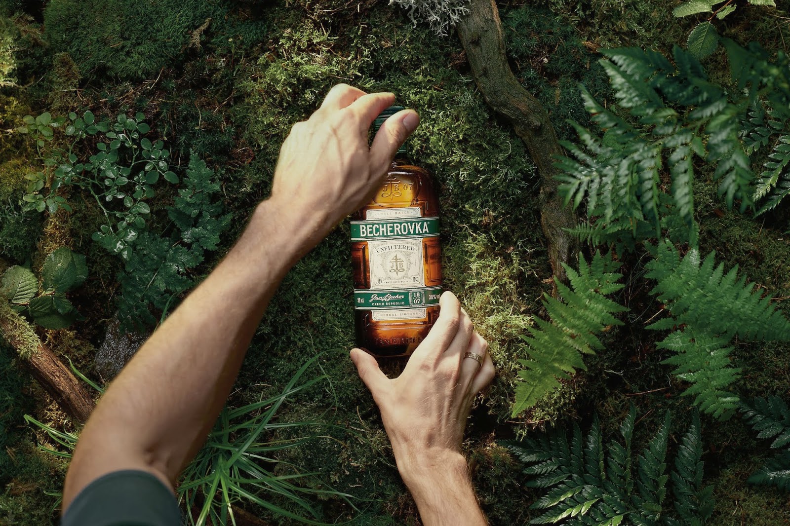 紹興保健酒包裝設(shè)計(圖1) 紹興保健酒包裝設(shè)計(圖1)