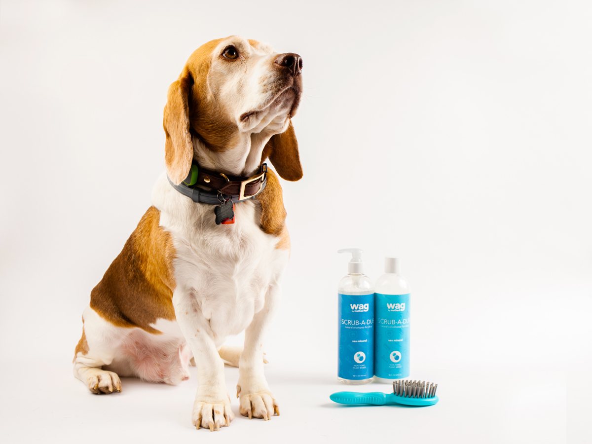 寵物包裝設(shè)計(jì)欣賞用品品牌包裝設(shè)計(jì)案例(圖6) 寵物包裝設(shè)計(jì)欣賞用品品牌包裝設(shè)計(jì)案例(圖6)