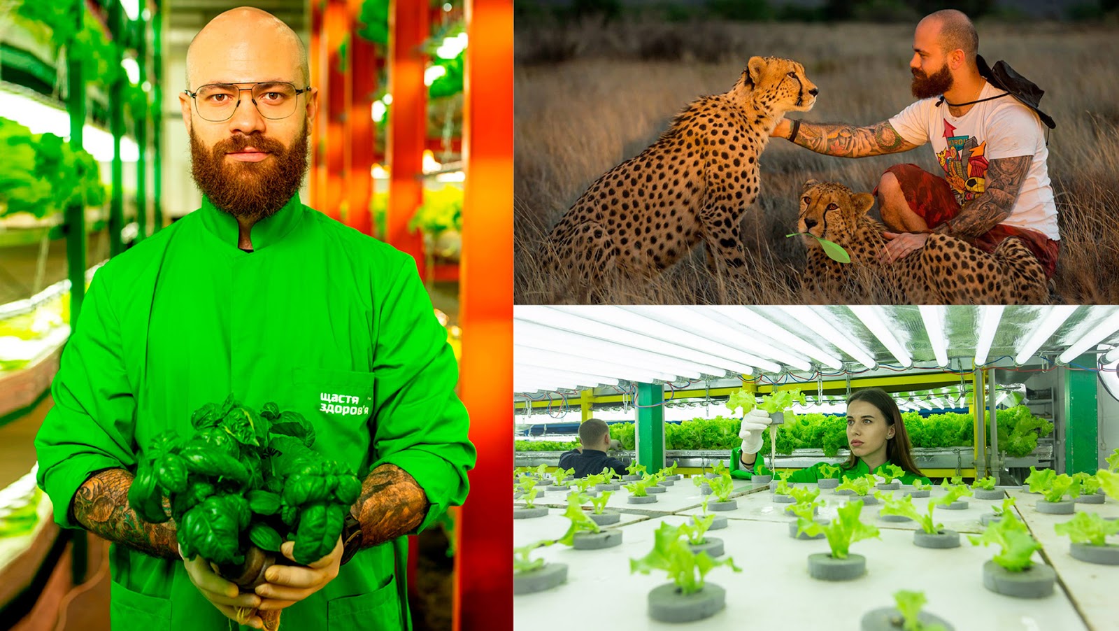 生鮮蔬菜品牌包裝設(shè)計(jì)(圖4)