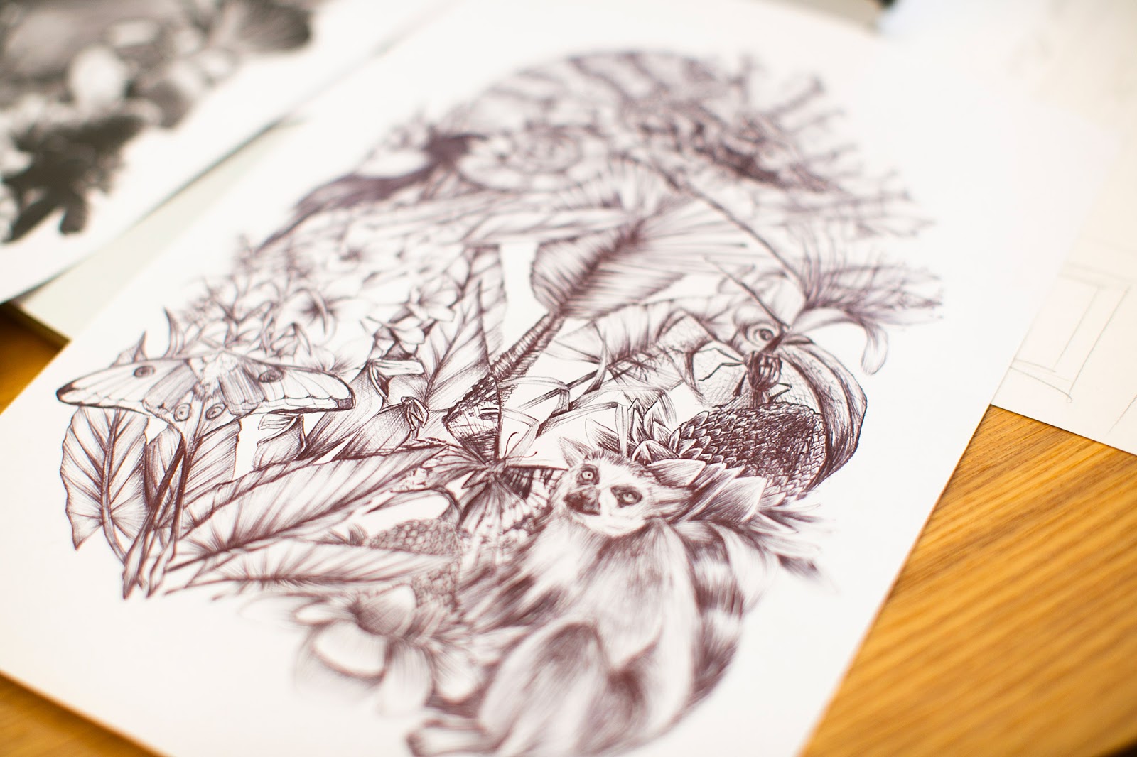 東營酒包裝設(shè)計這款看著很原始叢林(圖7) 東營酒包裝設(shè)計這款看著很原始叢林(圖7)