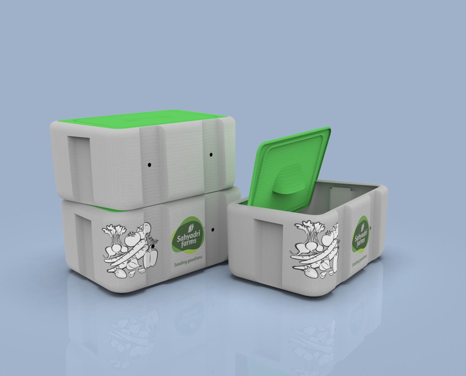 有機蔬菜外箱設(shè)計(圖1)