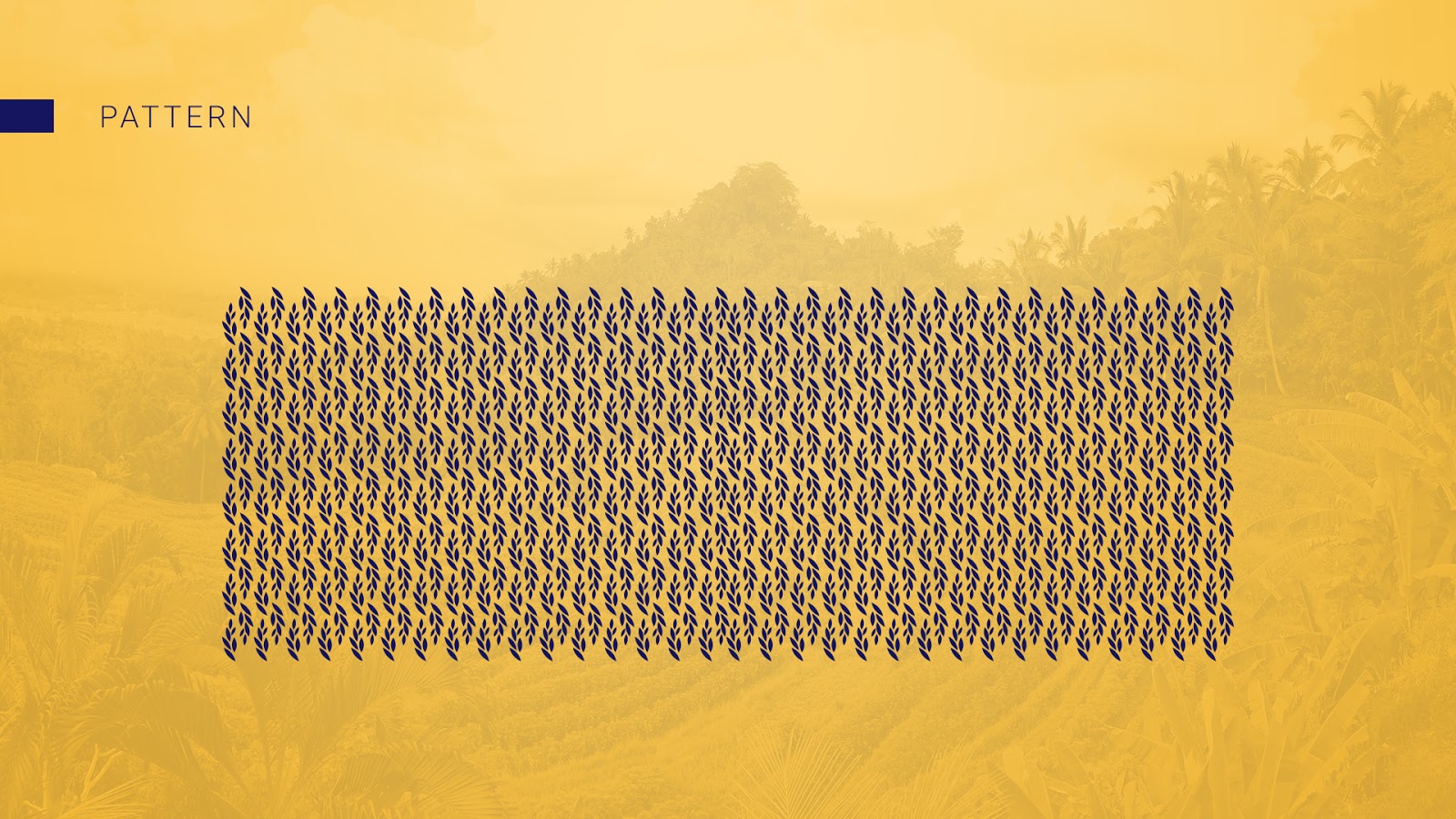 國外大米包裝設計欣賞(圖7)