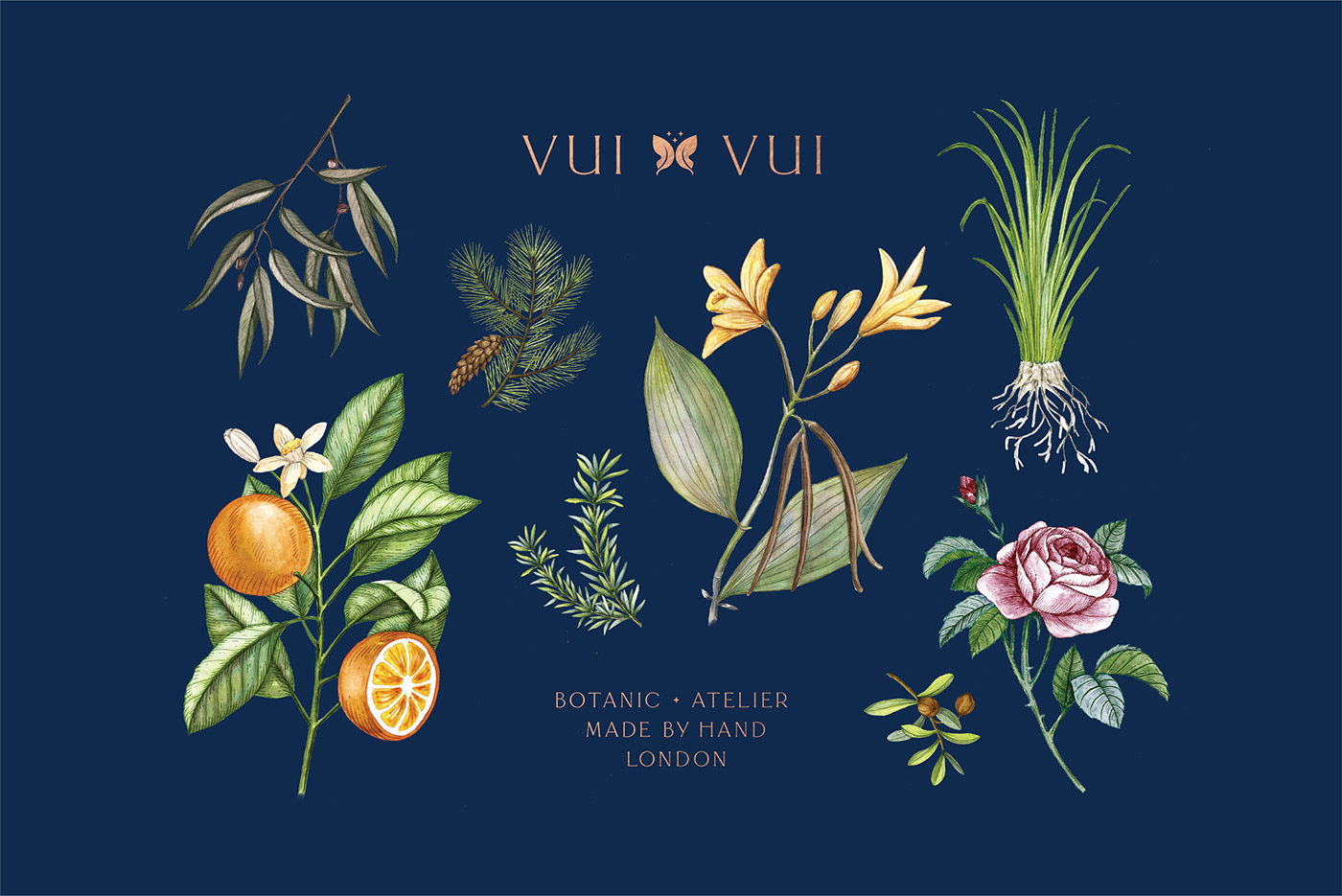 能讓人想起傳統(tǒng)的植物學(xué)書(shū)籍的護(hù)膚品包裝設(shè)計(jì)(圖8) 能讓人想起傳統(tǒng)的植物學(xué)書(shū)籍的護(hù)膚品包裝設(shè)計(jì)(圖8)