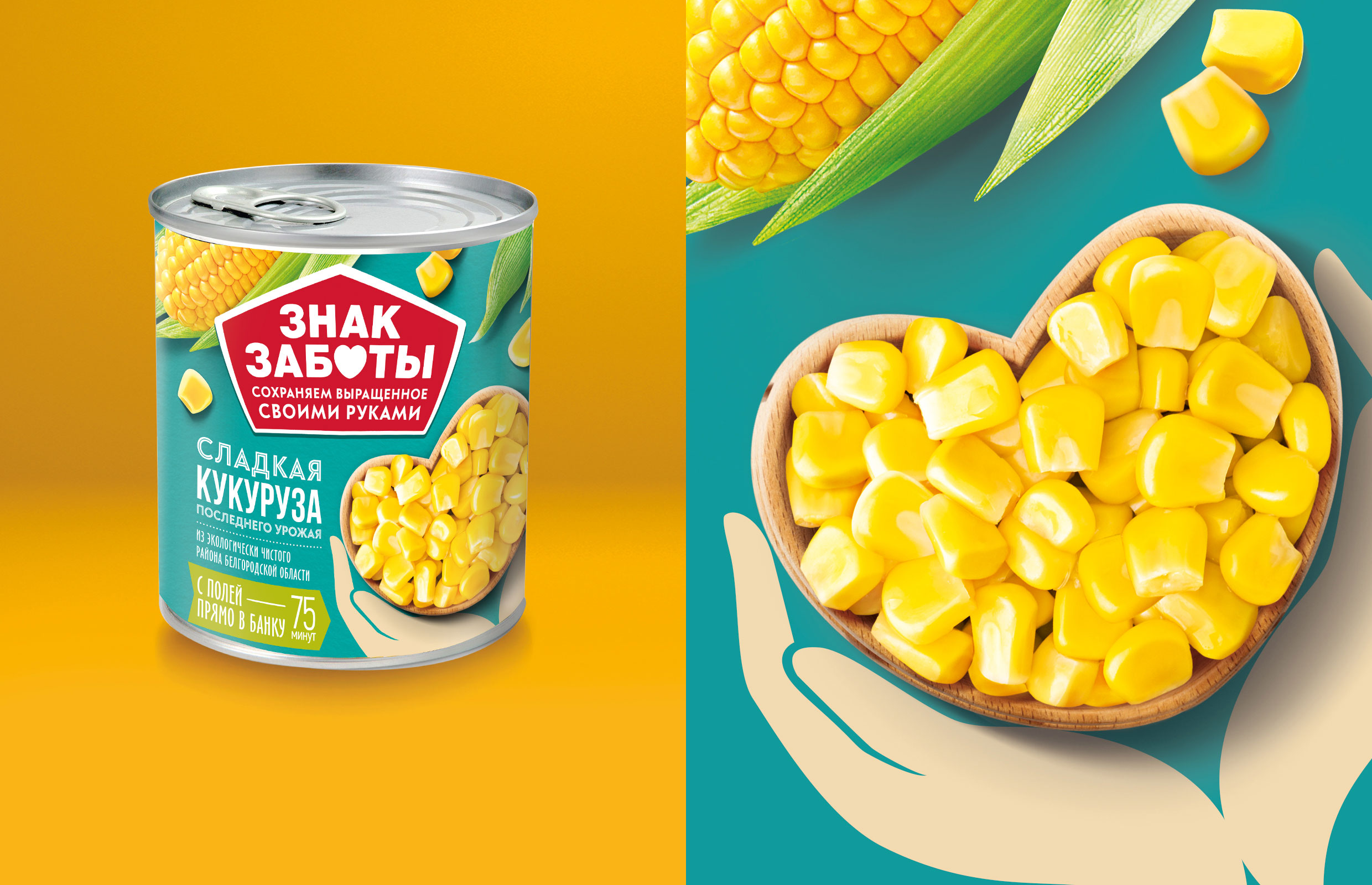 罐頭廠品牌戰(zhàn)略和食品包裝設(shè)計(jì)(圖3)