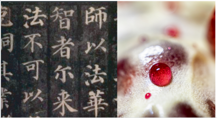 不喝白酒，就喝御石榴酒(圖2)