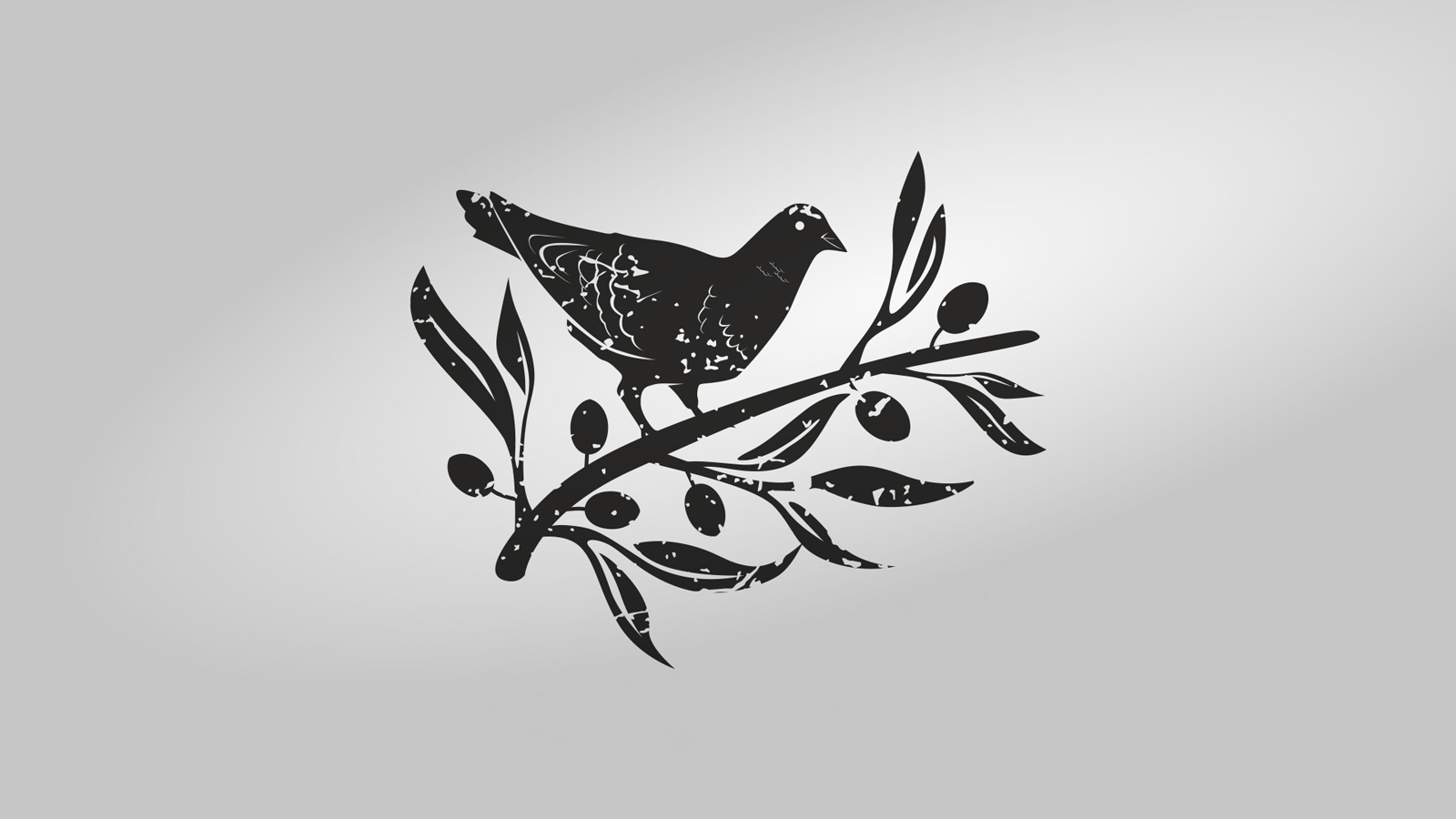 Elasion橄欖油創(chuàng)新包裝設(shè)計(jì)(圖3) Elasion橄欖油創(chuàng)新包裝設(shè)計(jì)(圖3)