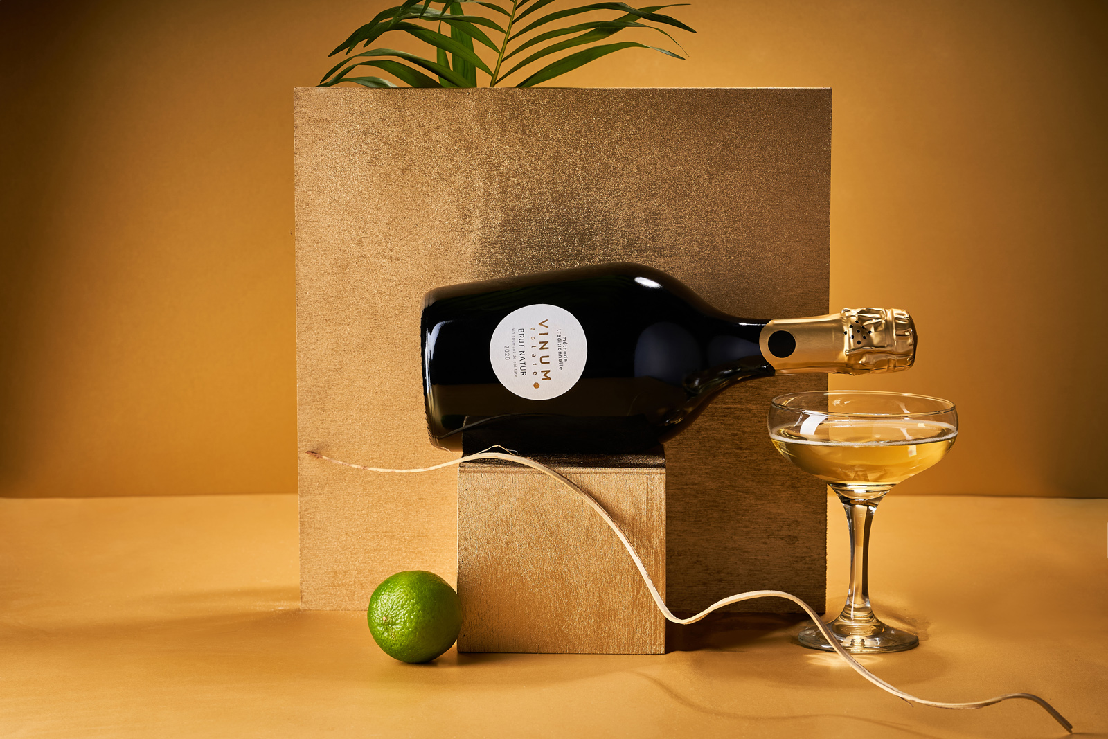 圓點符號為設計元素的起泡酒包裝設計(圖3)