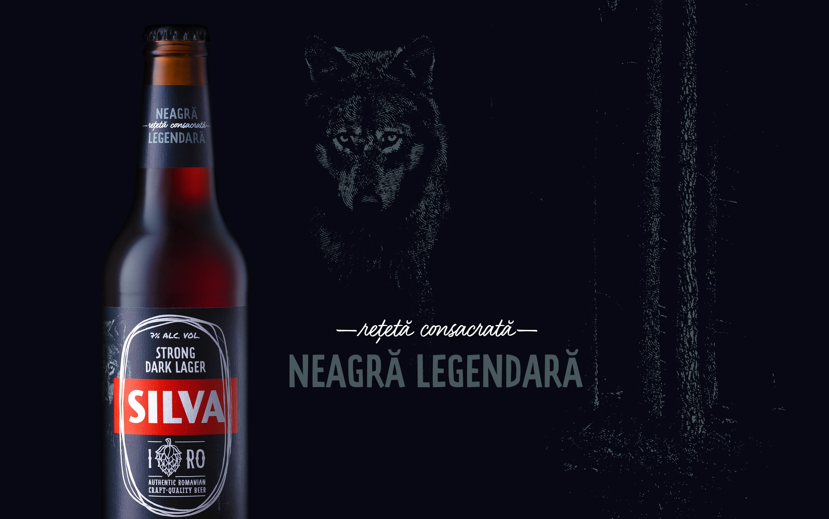 ?Silva啤酒包裝設(shè)計(jì)參考(圖4)