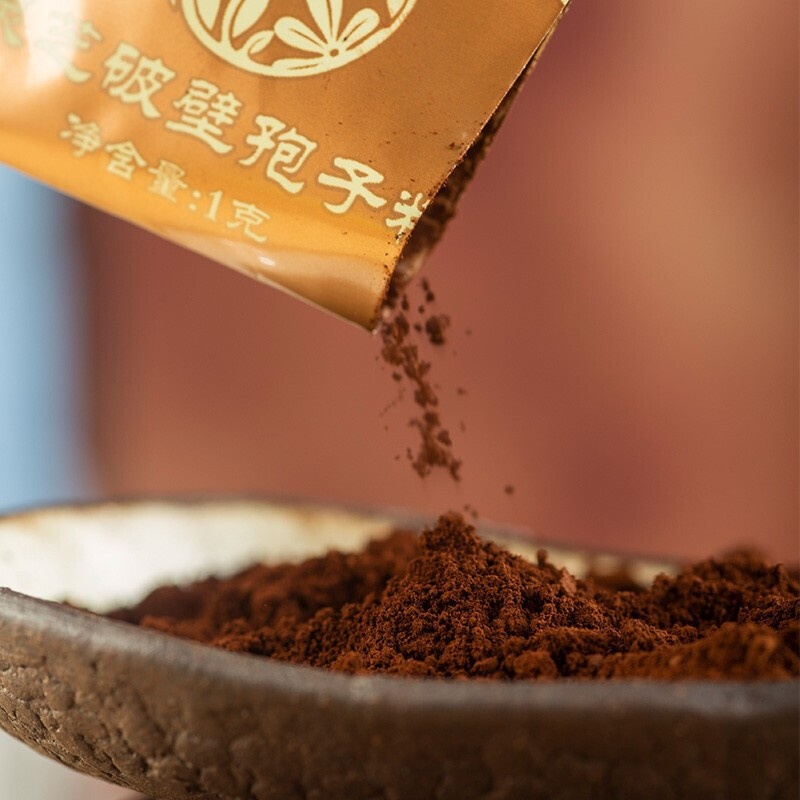 雷允上 破壁靈芝孢子粉 22g*3盒保健產(chǎn)品包裝創(chuàng)意設(shè)計(jì)欣賞(圖5)