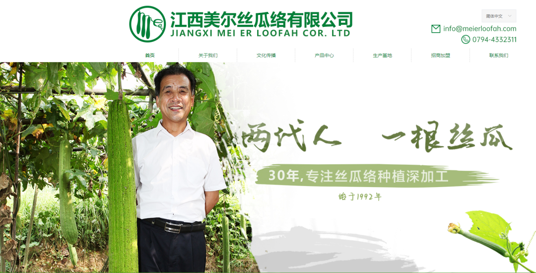 四喜作品：一雙有歷史有文化的絲瓜絡(luò)鞋，是怎么做成的？(圖1)