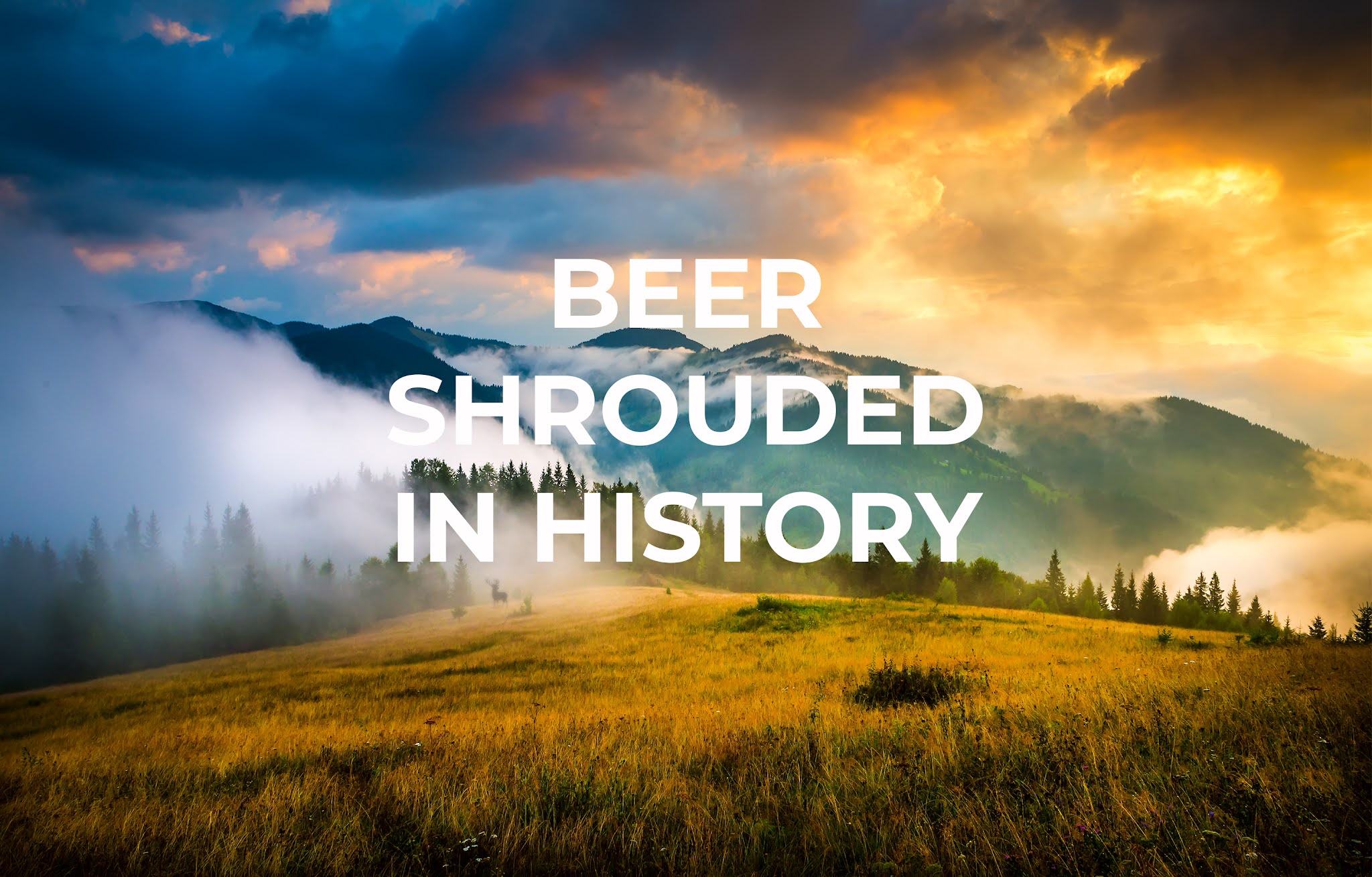 系列淡啤酒包裝設(shè)計(jì)(圖1) 系列淡啤酒包裝設(shè)計(jì)(圖1)