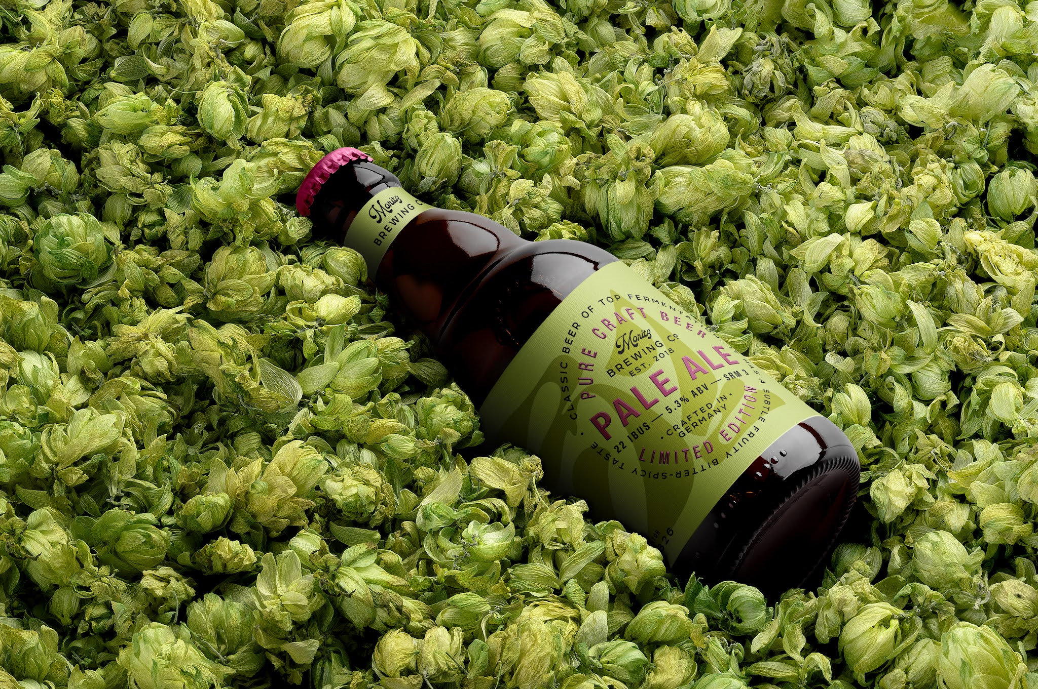 系列淡啤酒包裝設(shè)計(jì)(圖7) 系列淡啤酒包裝設(shè)計(jì)(圖7)