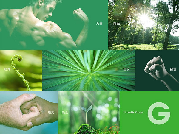 光合力量品牌故事-logo設(shè)計分析(圖2) 光合力量品牌故事-logo設(shè)計分析(圖2)