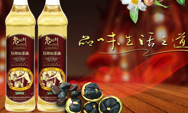 老樹根品牌logo與產(chǎn)品包裝設(shè)計欣賞(圖2)