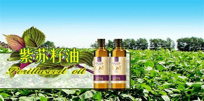 圣基 圣基品牌logo與食品包裝設(shè)計(jì)欣賞(圖3)