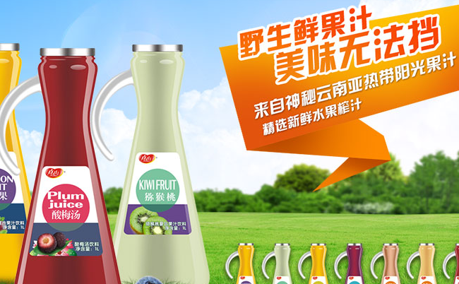 真心 ZHENXIN真心品牌logo與食品包裝設(shè)計(jì)欣賞(圖4)