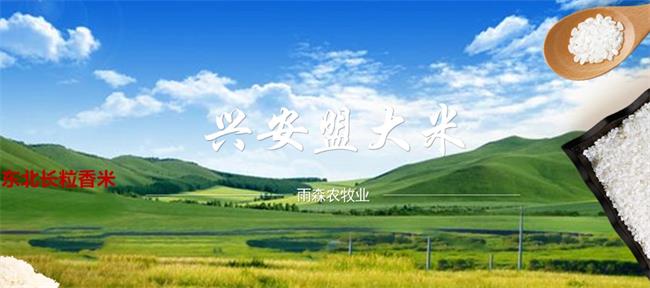 雨森大米 雨森品牌logo與食品包裝設(shè)計欣賞(圖2)