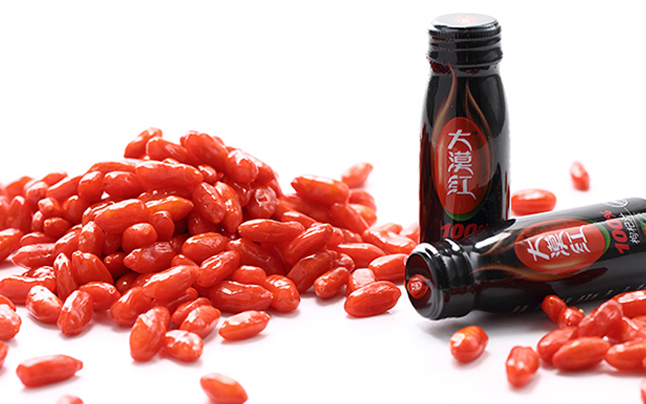 大漠紅品牌logo與食品包裝設(shè)計欣賞(圖3)