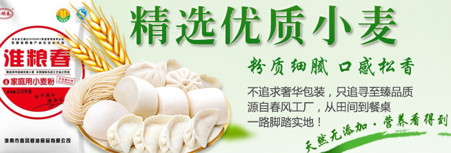 淮糧春品牌logo與食品包裝設(shè)計欣賞(圖4)