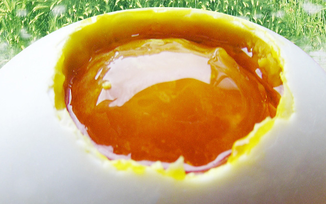 田歌 Tenge田歌品牌logo與食品包裝設(shè)計欣賞(圖2)