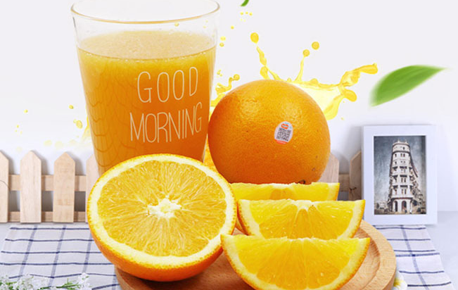 楊氏果業(yè)品牌logo與食品包裝設(shè)計(jì)欣賞(圖2)