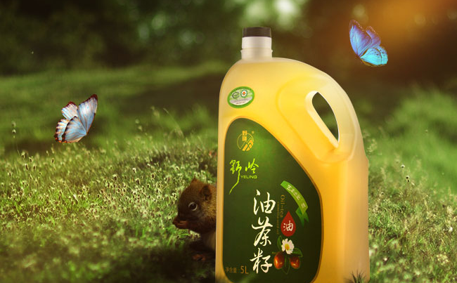 野嶺茶油 野嶺品牌logo與食品包裝設(shè)計(jì)欣賞(圖3)