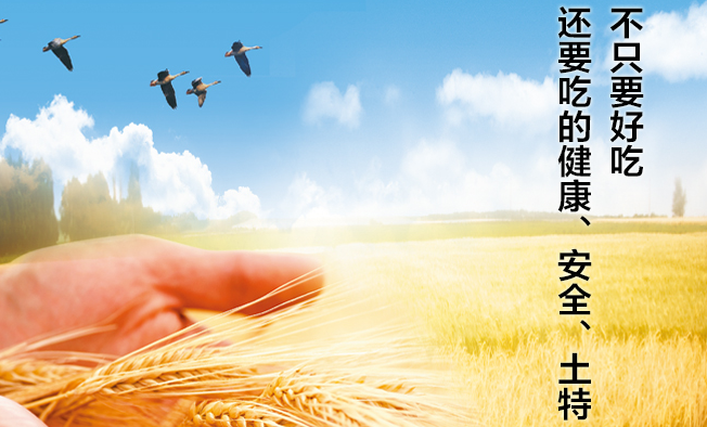 七河源品牌logo與食品包裝設(shè)計(jì)欣賞(圖3)