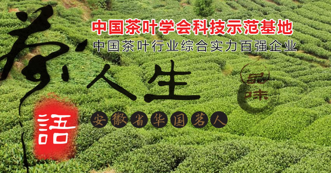 大別山品牌logo與食品包裝設(shè)計(jì)欣賞(圖2)