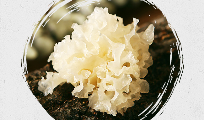 山霸王品牌logo與食品包裝設(shè)計欣賞(圖2)