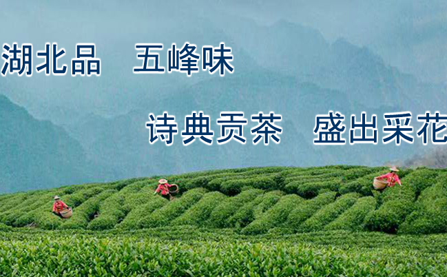 詩典貢茶食品包裝設計欣賞(圖2)