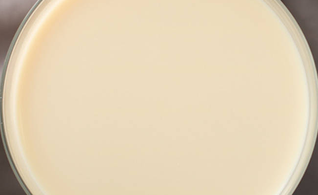 哇米諾食品包裝設(shè)計(jì)欣賞(圖3)