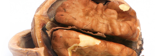 山之嬌食品包裝設計欣賞(圖2)