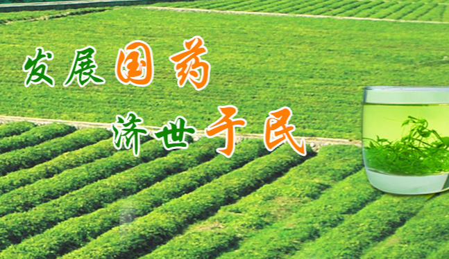 碧參食品包裝設(shè)計欣賞(圖4)