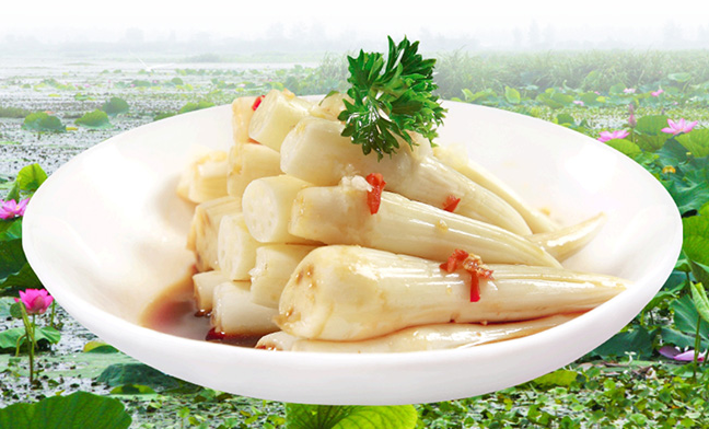 洪湖農(nóng)家耦帶 洪湖農(nóng)家食品包裝設(shè)計欣賞(圖4)