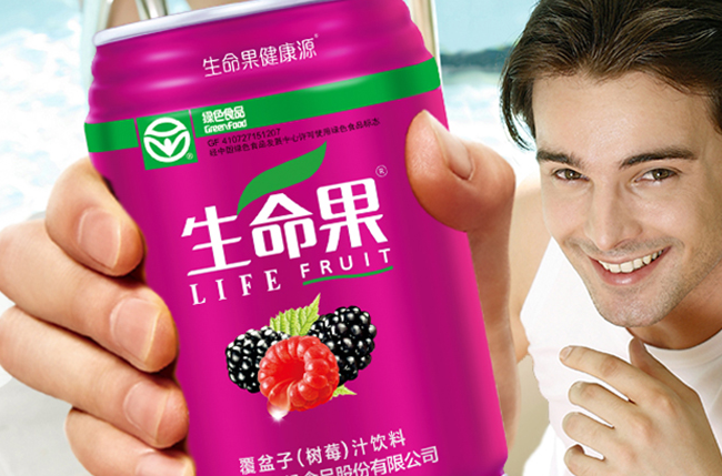 生命果 LIFE FRUIT生命果食品包裝設(shè)計(jì)欣賞(圖4)