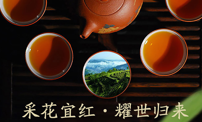 采花食品包裝設(shè)計欣賞(圖4)