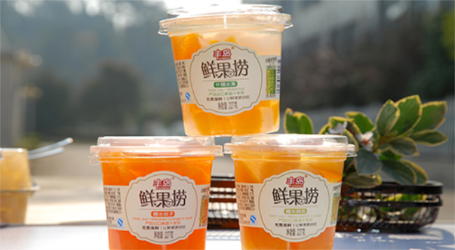 豐島食品包裝設(shè)計(jì)欣賞(圖2)