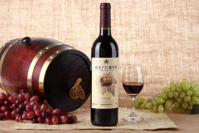 威龍食品包裝設(shè)計欣賞(圖3)