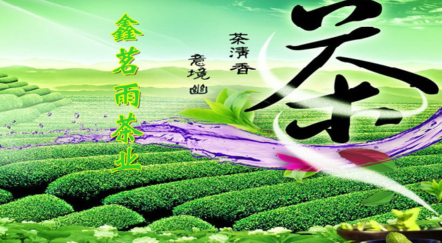 鑫茗雨霍山黃芽 鑫茗雨食品包裝設(shè)計(jì)欣賞(圖3)