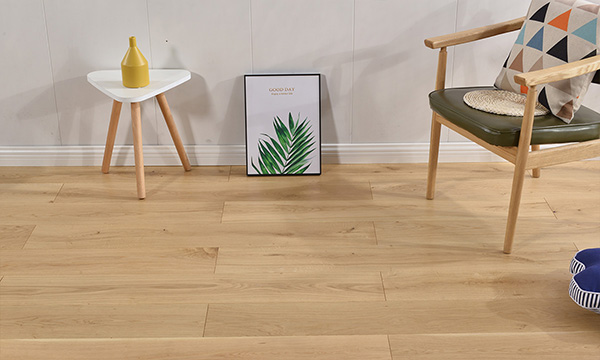 秀德地板食品包裝設(shè)計(jì)欣賞(圖3)